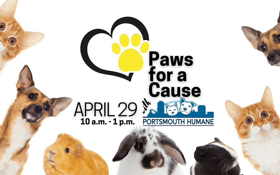 VA Premier Pawn Hosts Second Annual Paws for a Cause Event